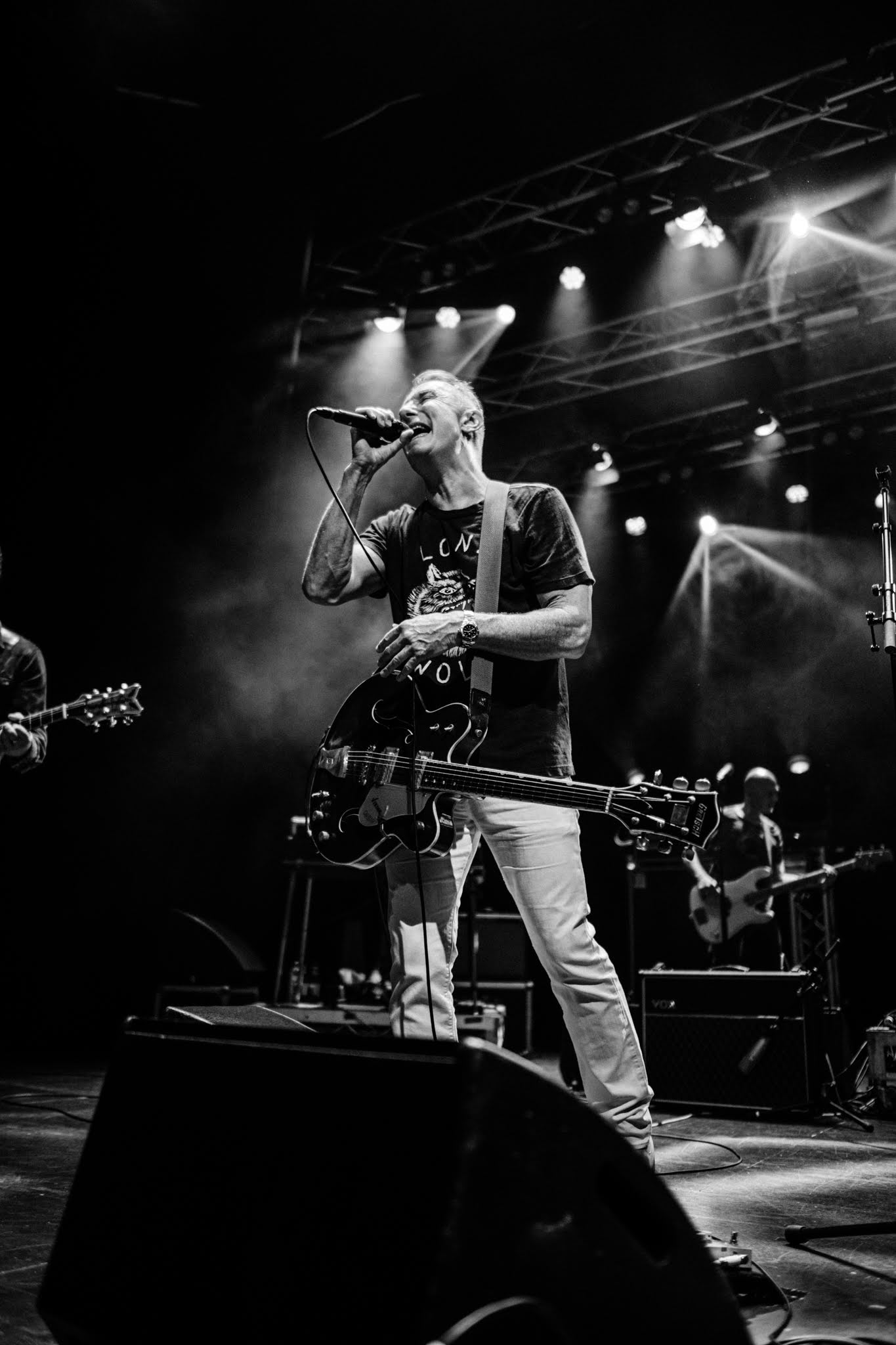 James Reyne Gig Galleries Princess Theatre